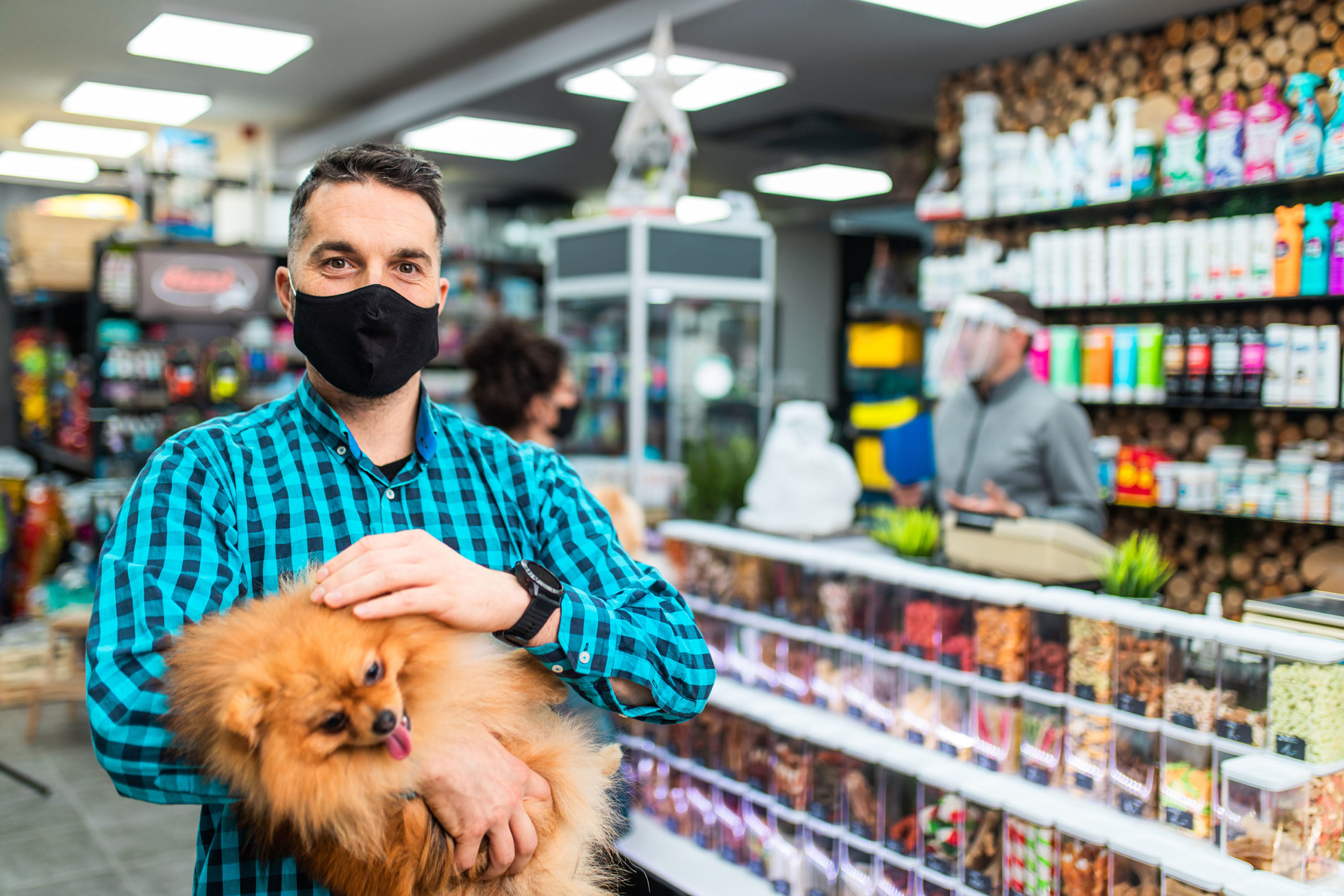gestao pet shop