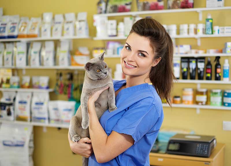 otimizar o tempo no pet shop