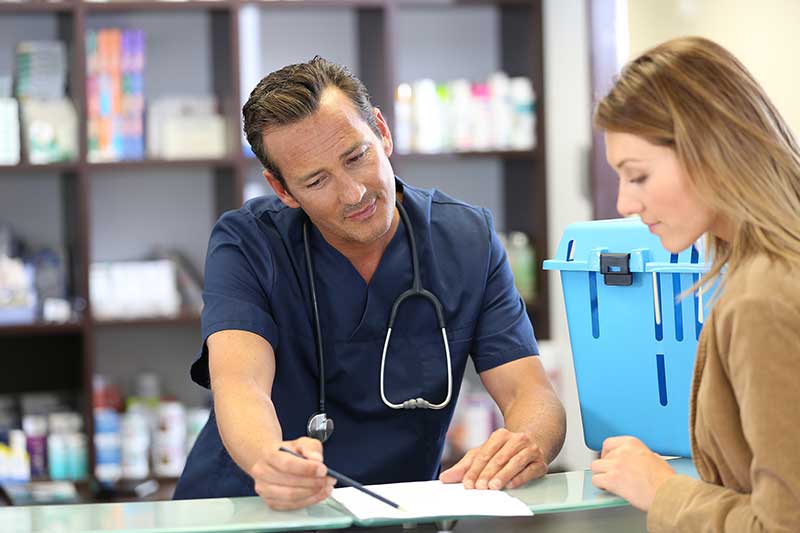 clinica veterinaria