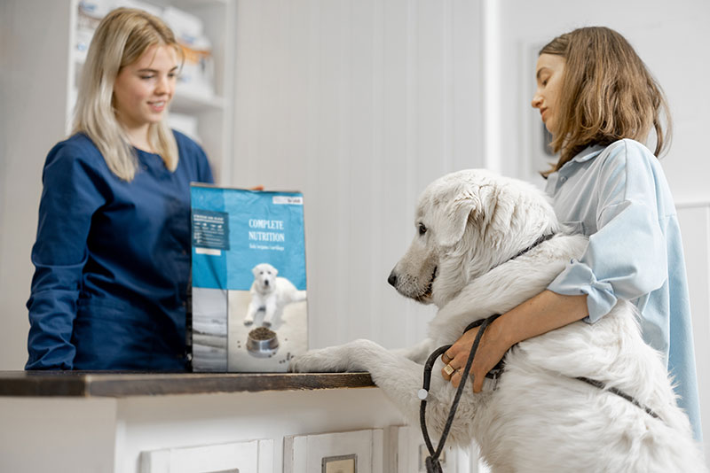 dicas para montar pet shop