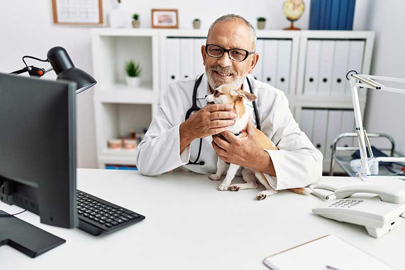 melhor localização para clínica veterinária