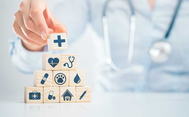 planos de negocios para clinicas veterinarias