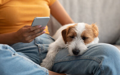 redes sociais para clinicas veterinarias