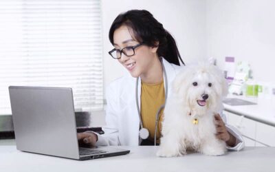 software de gestão para clínicas veterinárias
