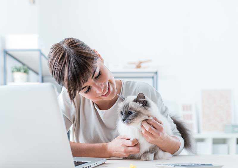 conectando veterinários e tutores